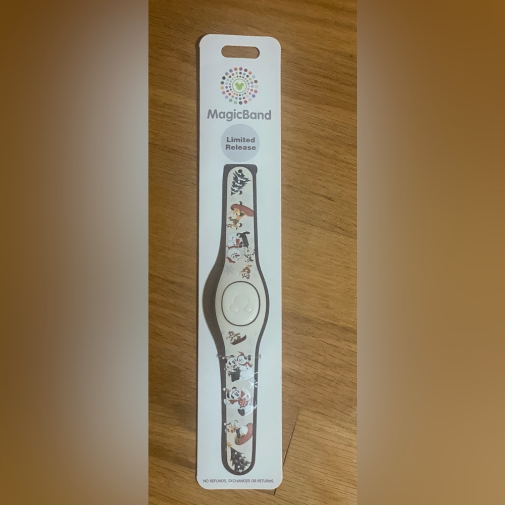 Disney World/Disneyland Magic Band